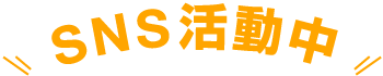 SNS活動中